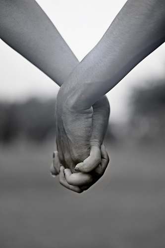 holding hands grayscale photo of two person holding hands rohtak
